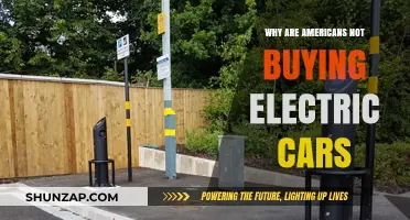 Why Americans Resist Electric Cars: Barriers to EV Adoption Explained