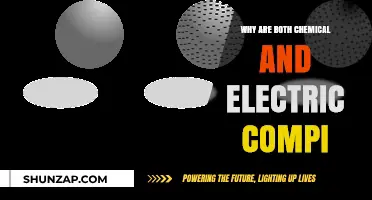 Electric and Chemical Computing: The Future of AI?