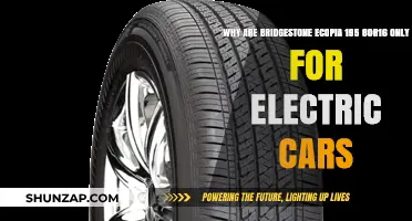 Bridgestone Ecopia 195/80R16: Why Electric Cars Exclusively Use These Tires
