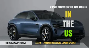 Chinese Electric Cars: Why They Haven't Entered the US Market Yet