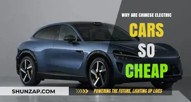 Why Chinese Electric Cars Offer Unbeatable Prices: A Deep Dive