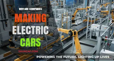 Why Companies Are Shifting to Electric Cars: Key Drivers