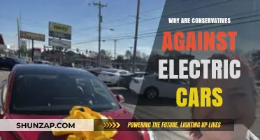 Why Conservatives Resist Electric Vehicles: Politics, Economy, and Energy Concerns