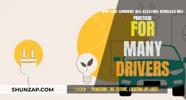 The Unsuitability of All-Electric Vehicles for the Masses