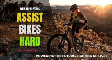 Electric Assist Bikes: Hard Work, Easy Riding?