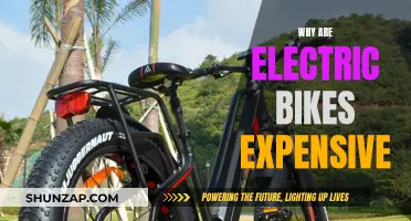 Electric Bike Costs: Why Are They So Expensive?