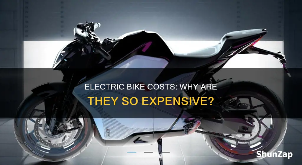 why are electric bikes expensive