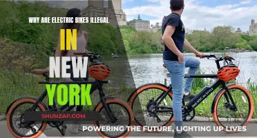 Electric Bikes: New York's Illegal Future?