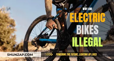 Electric Bikes: Why Are They Facing Legal Challenges?