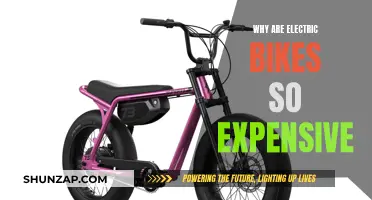 Electric Bike Costs: Why Are They So Expensive?