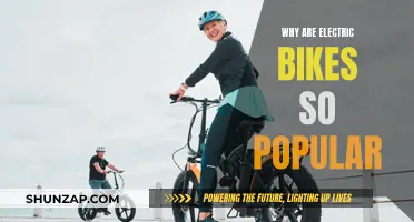 Electric Bikes: The New Popular Way to Commute