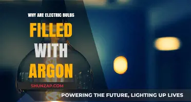 The Science Behind Argon-Filled Electric Bulbs