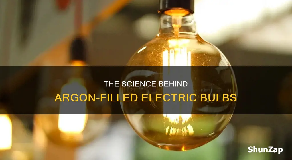 why are electric bulbs filled with argon