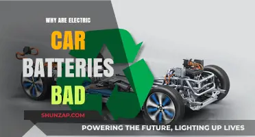 Electric Car Batteries: Environmental Impact and Sustainability Concerns Explained