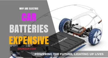 Why Electric Car Batteries Cost More: Key Factors Explained