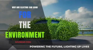 Electric Cars: Eco-Friendly Benefits for a Greener, Sustainable Future
