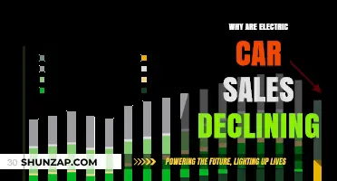 Electric Car Sales Slump: Unraveling the Decline in Demand