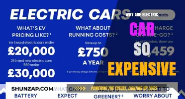 Why Electric Cars Cost More: Unraveling the High Price Tag