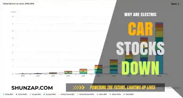 Electric Car Stocks Plunge: Unraveling the Market Downturn Causes