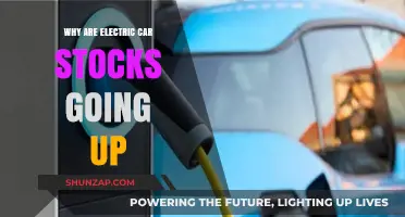 Electric Car Stocks Surge: Unlocking the Reasons Behind the Rally