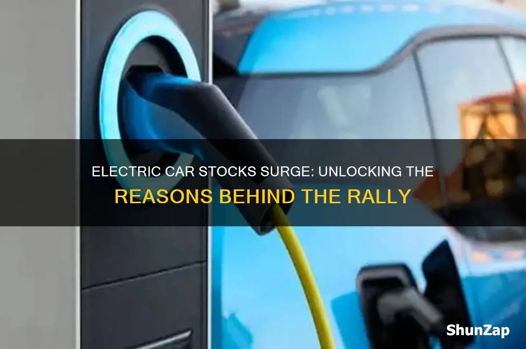 why are electric car stocks going up