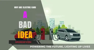Electric Cars: Uncovering Hidden Drawbacks and Unsustainable Realities