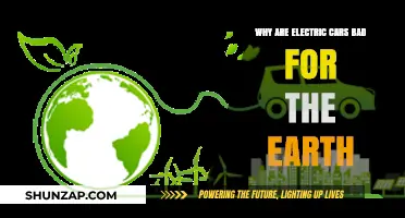 Electric Cars' Hidden Environmental Costs: Are They Truly Eco-Friendly?