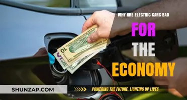 Electric Cars' Economic Impact: Hidden Costs and Market Disruptions