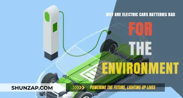 Electric Car Batteries: Environmental Impact and Sustainability Concerns