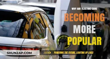 Electric Cars Surge: Reasons Behind Their Growing Global Popularity