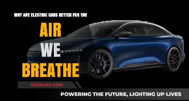 Electric Cars: Cleaner Air, Greener Future, Healthier Planet for All
