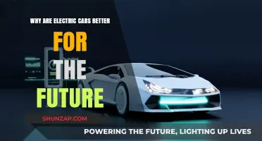 Electric Cars: A Sustainable, Eco-Friendly Future for Transportation