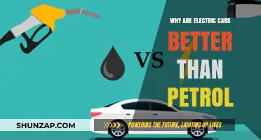 Electric Cars Outshine Petrol: Cleaner, Greener, and Cost-Effective Transportation