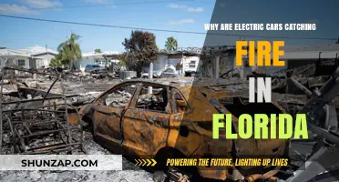 Florida's Electric Car Fires: Causes, Risks, and Prevention Strategies