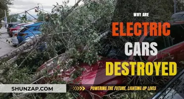 Why Electric Cars Face Premature Destruction: Causes and Consequences