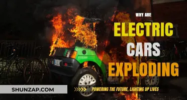 Electric Car Explosions: Unraveling the Causes and Safety Concerns