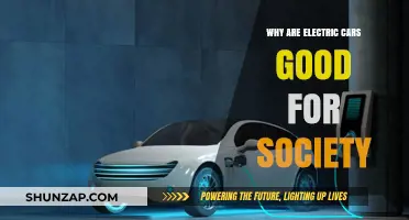 Electric Cars: Driving a Sustainable, Cleaner, and Greener Future for All