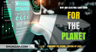 Electric Cars: A Sustainable Choice for a Greener Planet