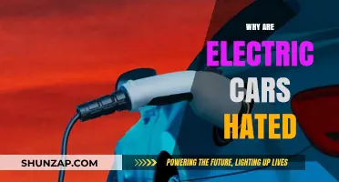 Why Electric Cars Face Criticism: Unraveling the Reasons Behind the Hate