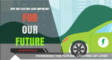 Electric Cars: Driving a Sustainable and Greener Future for All