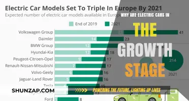 Electric Cars' Growth Stage: Factors Driving the Surge in Adoption