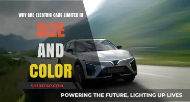 Electric Cars: Size, Color Limitations Explained in Detail