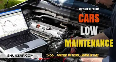 Electric Cars: The Low-Maintenance, Cost-Effective Future of Driving