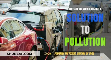 Electric Cars: A Partial Fix, Not a Pollution Panacea