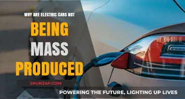 Why Electric Cars Aren't Dominating Mass Production Yet: Key Barriers