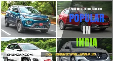 Why Electric Cars Struggle to Gain Traction in India