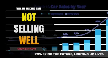 Why Electric Cars Struggle to Gain Traction in the Market