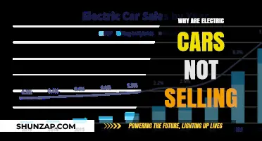 Why Electric Cars Struggle to Gain Traction in the Market