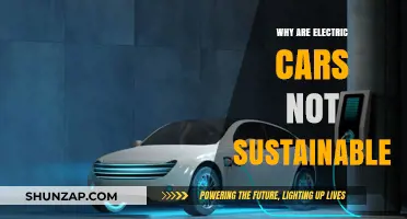 Electric Cars' Hidden Environmental Costs: Are They Truly Sustainable?