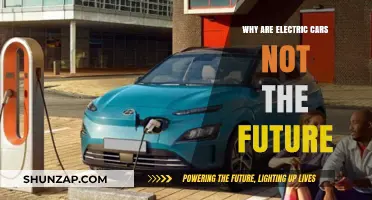 Electric Cars: Why They Might Not Dominate the Future of Transportation